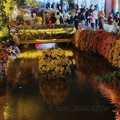 Amandayan Tea House Bistro User Photo