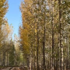 偏愛炒雞店(淘你歡店)張用戶圖片