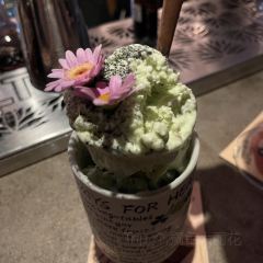 Summer Experiment張用戶圖片