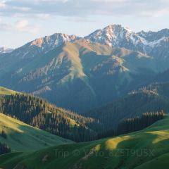 古兰丹姆冰激凌店 User Photo