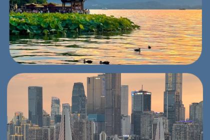 陶陶居欢乐餐厅(行署路店)