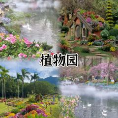 无极饸饹·饸饹张(第一分店) 여행 사진