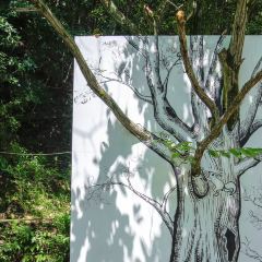 ZAI SHAN YE User Photo