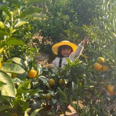 明味生態農莊張用戶圖片