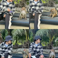 徐福记湛江烤生蚝 User Photo