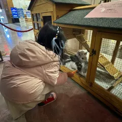 A HUA NONG ZHUANG User Photo