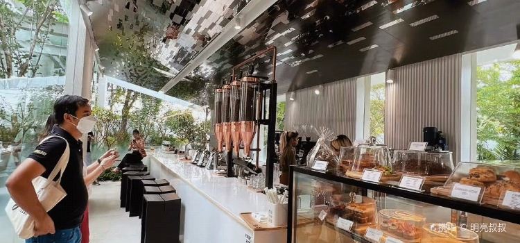 Nana Coffee Roasters Bangna