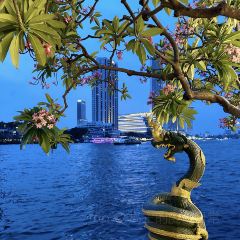 Volti Tuscan Grill & Bar User Photo