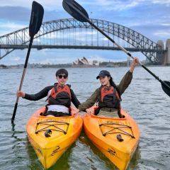 Sails on Lavender Bay User Photo