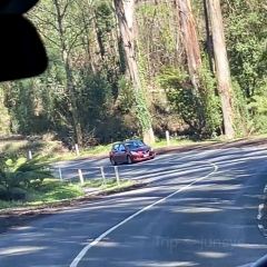 SkyHigh Mount Dandenong User Photo