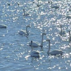 Yiwei Barbecue (jinianlu) 여행 사진