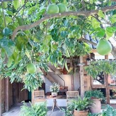 青禾文创田院 User Photo