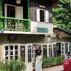 Big Tree Cafe User Photo