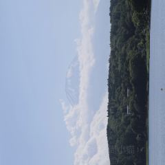 Paper Moon User Photo