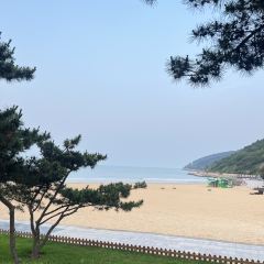 YONG CHENG HAI XIAN SHAO KAO DA PAI DANG User Photo