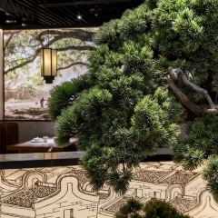 大榕树下(东方宝泰店) User Photo