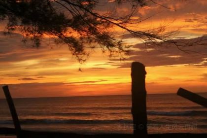 Coco-Joe's Bar & Grill