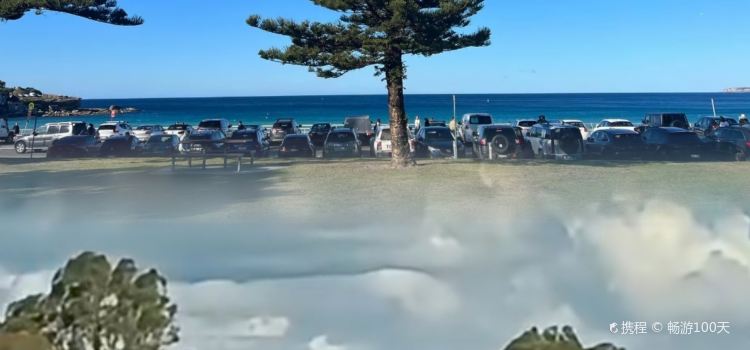 The Brew Wagga