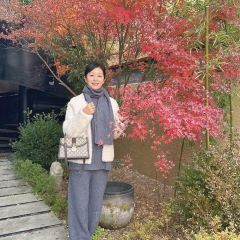 花築·富泉山居（沂蒙山旅遊區蒙山國家森林公園店）·富泉好食張用戶圖片