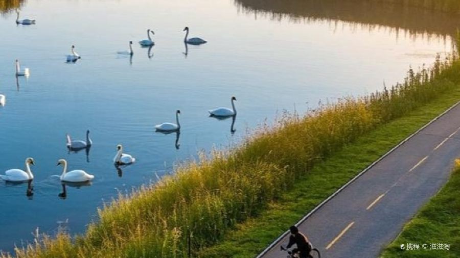 The Black Horse Hotel Restaurant