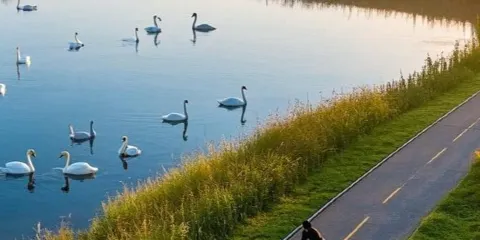 The Black Horse Hotel Restaurant