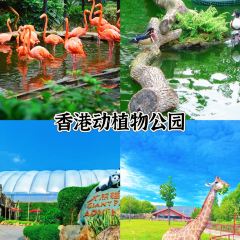 YANG XI XIAN DA AO YU CUN User Photo