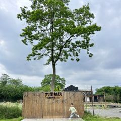 花園主義（九里拾院店）張用戶圖片