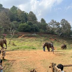 Elefin Farm & Cafe เอเลฟิน ฟาร์ม แอนด์ คาเฟ่ User Photo