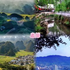 黃南武陽朗辣子雞張用戶圖片