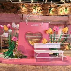 3Q台灣美食張用戶圖片