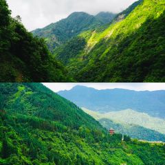巴适得板冷水鱼庄 User Photo