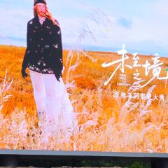 Naive li xiang guo (a na ya dian) 여행 사진