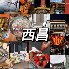 正宗會理雞火絲(龍眼井店)張用戶圖片