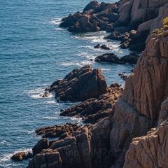 SunshineCafe User Photo