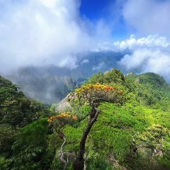 LAO MA CAI User Photo