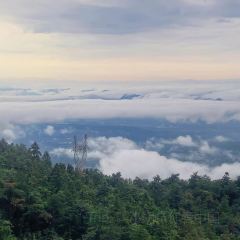 SHAN CHENG NONG JIA User Photo