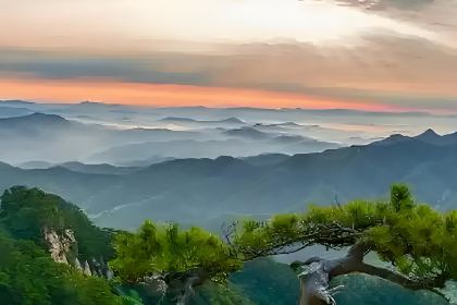 SHAN NAN XUN ROU DA BING