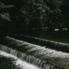 老太婆干挑面(苕溪路店) User Photo