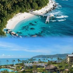 自然椰·海南清补凉(青春颂店) User Photo