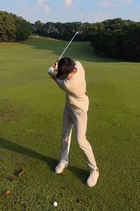 Jason Fengfeng 合肥白金漢爵大飯店優惠