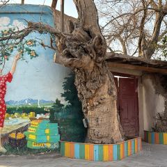 阿尔茶抓饭店(原甜穆奇鸽子汤店) User Photo