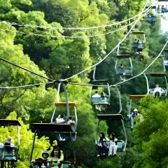 Tang you ba ba User Photo