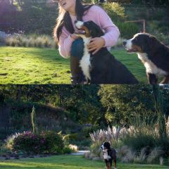 青寂溪谷半山酒店·枫见餐厅 User Photo