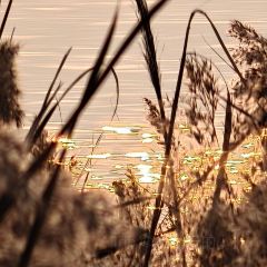 紫薇冷饮(桐乡店) User Photo