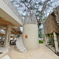 Chubby Papaya User Photo