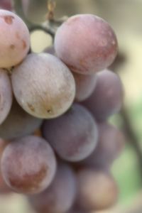 Chuanqiyangyang 白色精品飯店及水療中心優惠