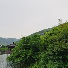 Jiu Yi Jia Tu Cai Guan User Photo