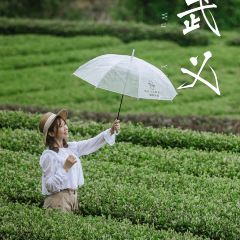 宣平八味 User Photo