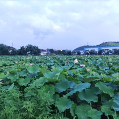 唐味斋·餐舍 User Photo
