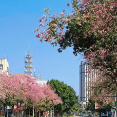 講口緣腸粉張用戶圖片